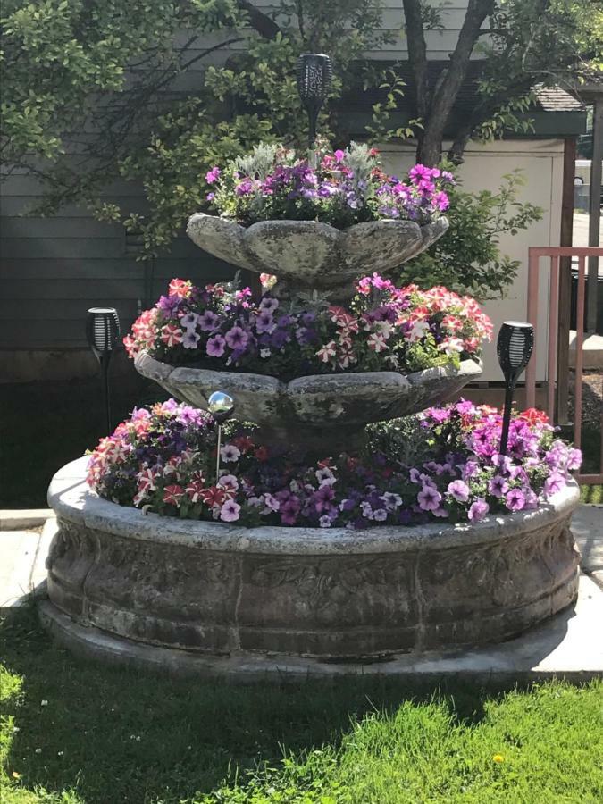 Blue Spruce Inn-Meeker, Colorado Ngoại thất bức ảnh